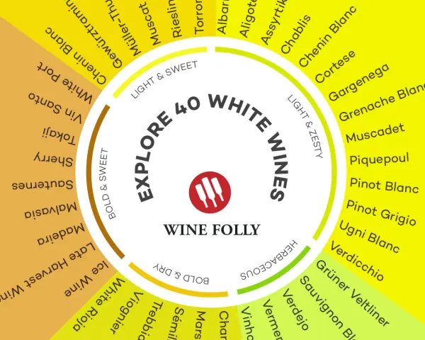 Roue des vins blancs : explorez 40 variétés, du vin blanc minéral comme le Muscadet au doux Tokaji.