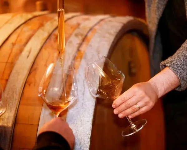 Dégustation de vins dans une cave, avec un pipete versant le liquide ambré dans des verres. Un tableau des millésimes vins se dessine.