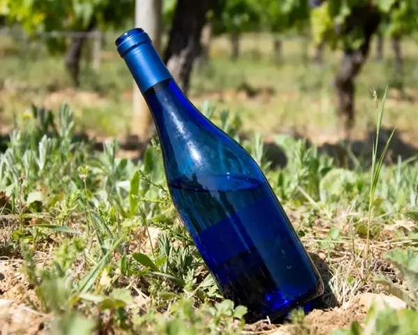 Bouteille de vin bleu posée dans l'herbe d'un vignoble ensoleillé.