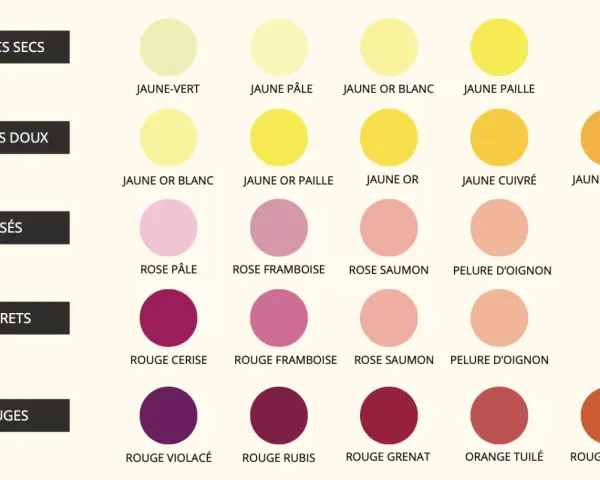 Tableau comparatif des nuances de couleur vin, du jaune-vert au rouge ambré, classées par type de vin : blancs secs, doux, rosés, clarets et rouges.