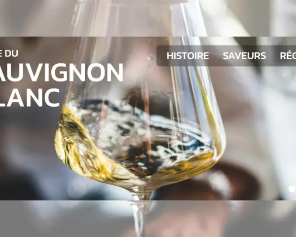 Un verre de vin blanc, un guide du sauvignon blanc, avec des options pour l'histoire, les saveurs et les régions.