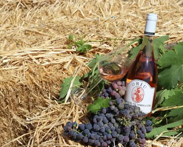Bouteille de rosé et grappes de raisin sur fond de paille. Le domaine de Torraccia, un vin de qualité.