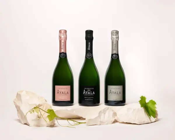 Trois bouteilles de champagne Ayala, dont une rosé, présentées sur des pierres. Avis sur le champagne Ayala.