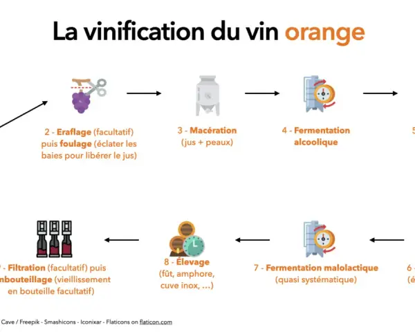 Schéma expliquant la vinification du vin orange : vendanges, macération des jus et peaux, fermentation, élevage, etc. C'est quoi le vin orange ?