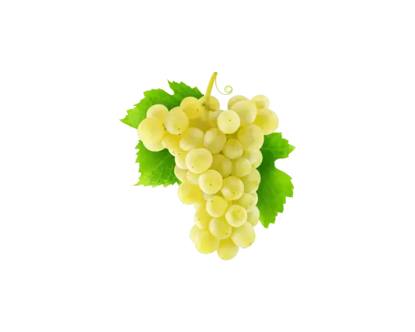 Grappe de raisins blancs, évoquant la douceur du chenin, avec des feuilles vertes vives sur fond uni.