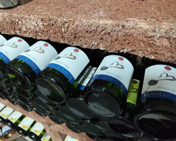 Bouteilles de cépage Pinot Gris d'Alsace, étiquetées "Famille Ancel", rangées sur une étagère en briques.