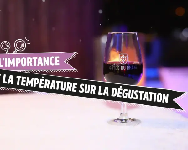 Verre de vin Cotes du Rhone sur une table enneigée, illustrant l'importance de la température sur la dégustation.