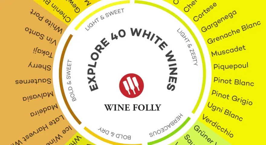 Roue des vins blancs : explorez 40 variétés, du vin blanc minéral comme le Muscadet au doux Tokaji.