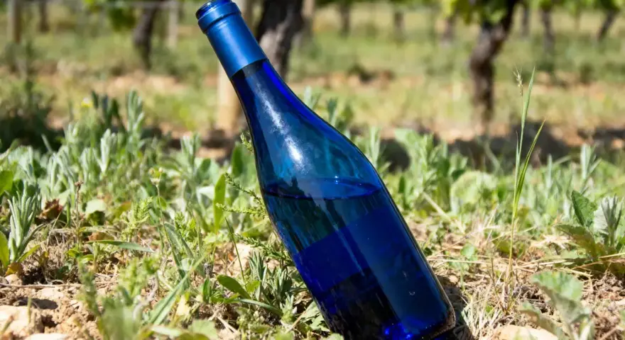 Bouteille de vin bleu posée dans l'herbe d'un vignoble ensoleillé.
