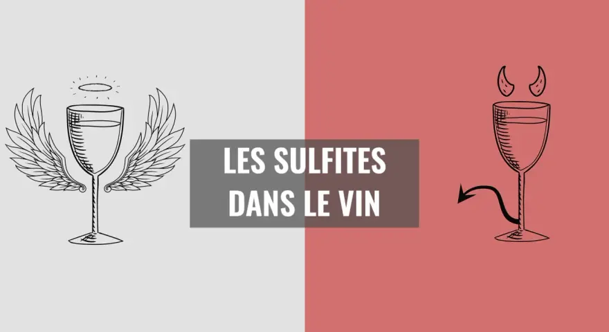 Verre de vin ailé et diabolique, symbolisant les sulfites dans le vin. Le bon et le mauvais côté de cette substance.