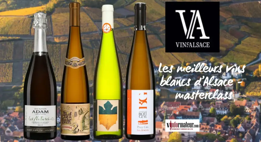 Quatre bouteilles de vin d'Alsace, dont un meilleur pinot gris, sur fond de vignobles.
