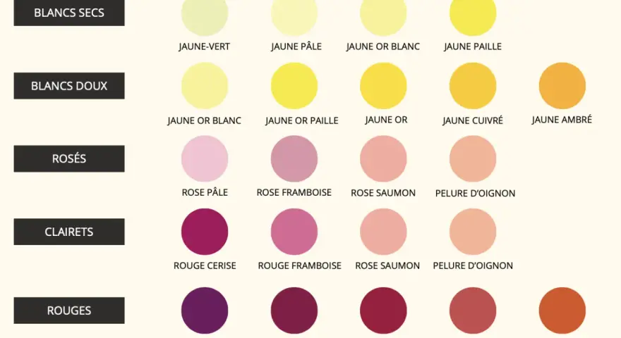 Tableau comparatif des nuances de couleur vin, du jaune-vert au rouge ambré, classées par type de vin : blancs secs, doux, rosés, clarets et rouges.