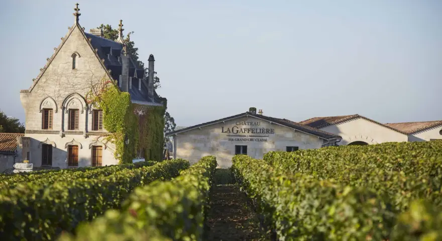 Vignoble verdoyant devant le château La Gaffelière, un bâtiment de pierre couvert de lierre. Le nom du domaine est inscrit sur une autre bâtisse.