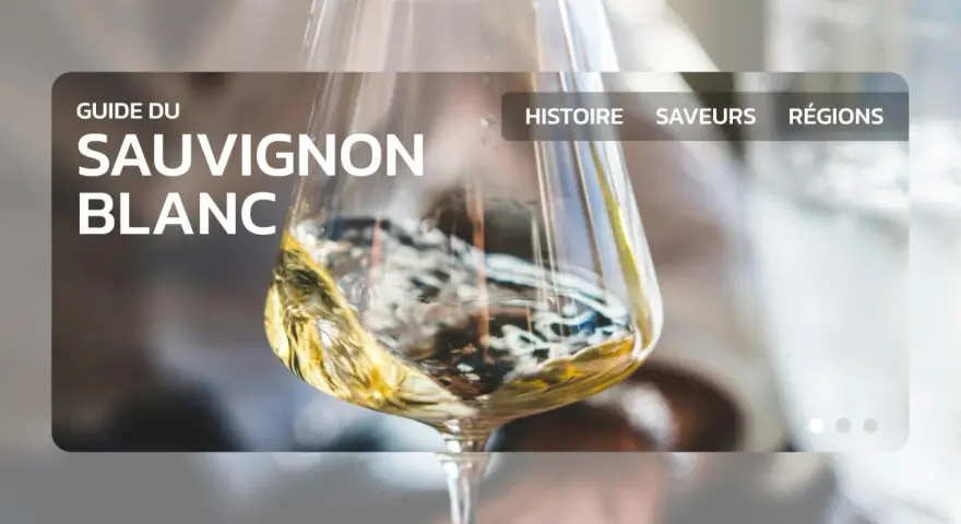 Un verre de vin blanc, un guide du sauvignon blanc, avec des options pour l'histoire, les saveurs et les régions.