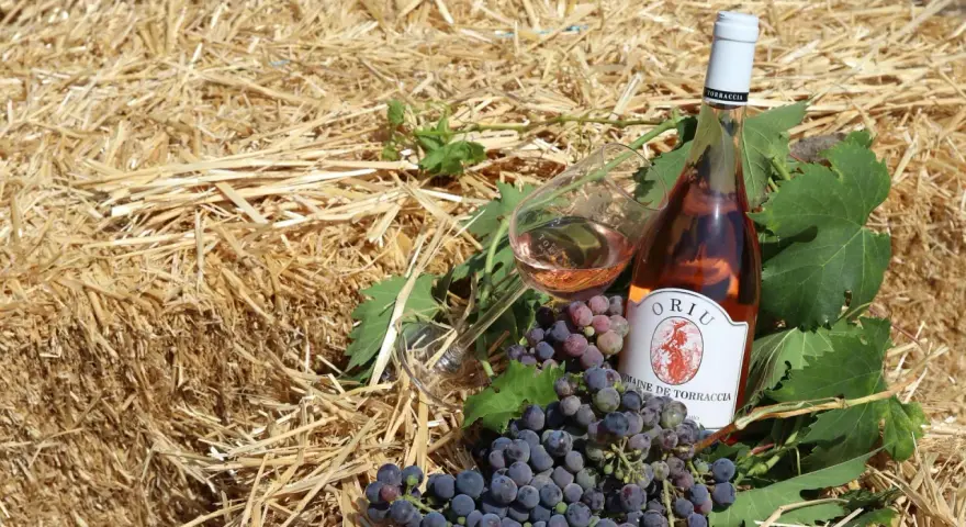 Bouteille de rosé et grappes de raisin sur fond de paille. Le domaine de Torraccia, un vin de qualité.