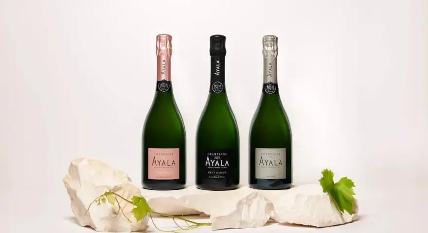 Trois bouteilles de champagne Ayala, dont une rosé, présentées sur des pierres. Avis sur le champagne Ayala.