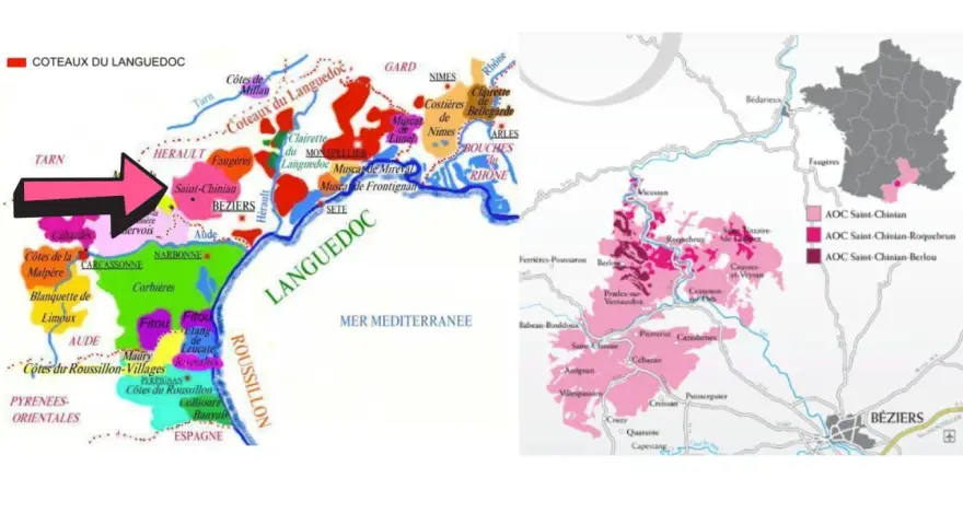 Carte des vins du Languedoc, avec une flèche rose pointant vers la zone de Saint-Chinian, connue pour son cépage.