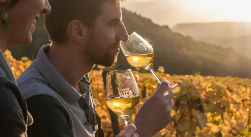 Un homme et une femme dégustent un vin jaune du Jura au coucher du soleil, dans un vignoble aux couleurs d'automne.