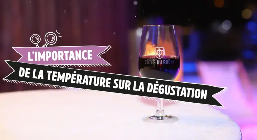 Verre de vin Cotes du Rhone sur une table enneigée, illustrant l'importance de la température sur la dégustation.