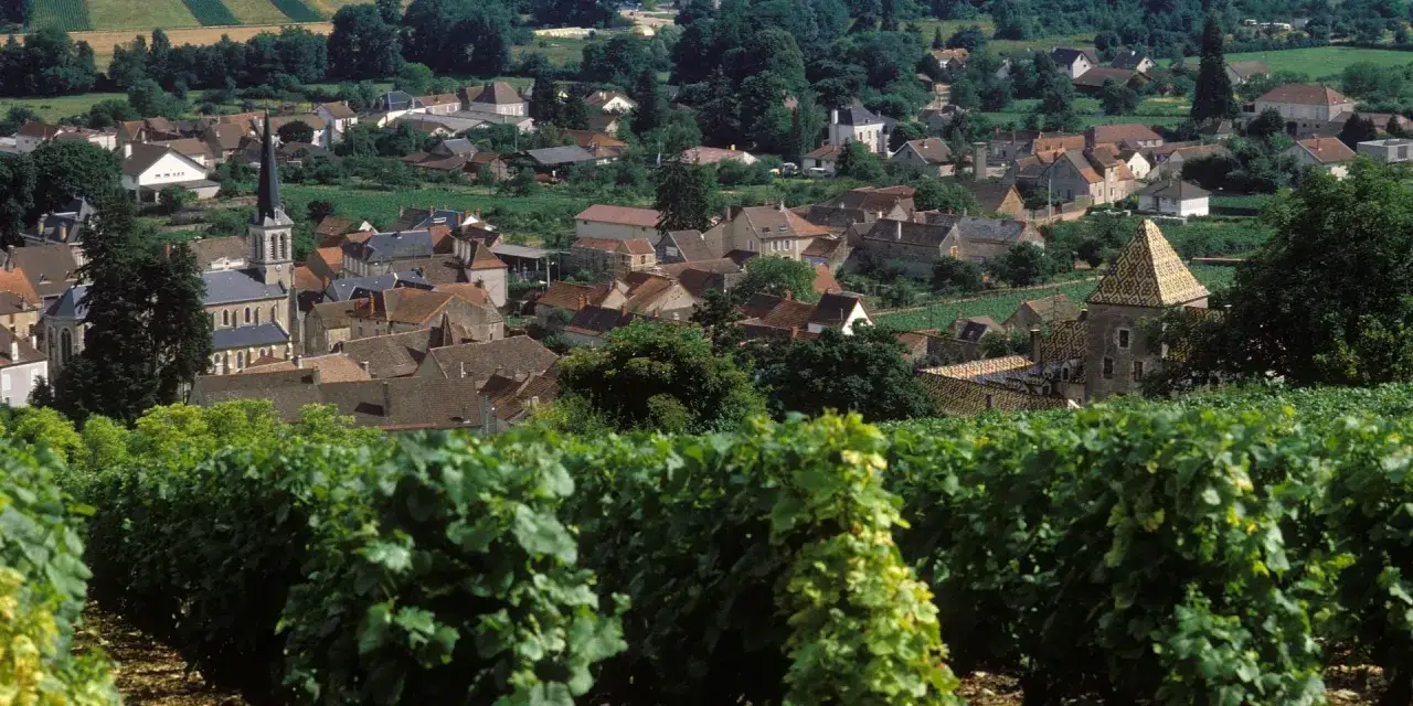Vue d'un village fran&ccedil;ais pittoresque avec une &eacute;glise et des vignobles au premier plan. Jean-Marc Vincent appr&eacute;cie ce paysage.