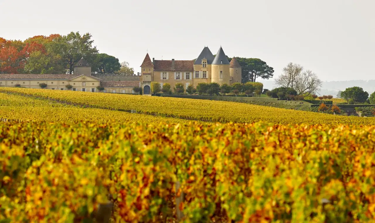 Ch&acirc;teau de Luze, propri&eacute;t&eacute; d'Alexandre de Lur Saluces, baign&eacute; par les couleurs d'automne sur fond de vignoble dor&eacute;.