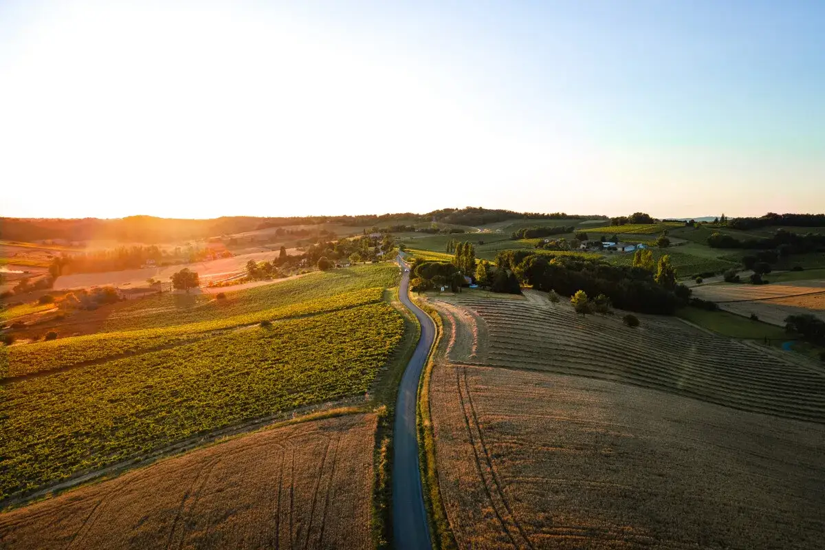 Paysage vallonn&eacute; au coucher du soleil, champs de bl&eacute; et vignes, route sinueuse. Un avant-go&ucirc;t du vin du Tarn.