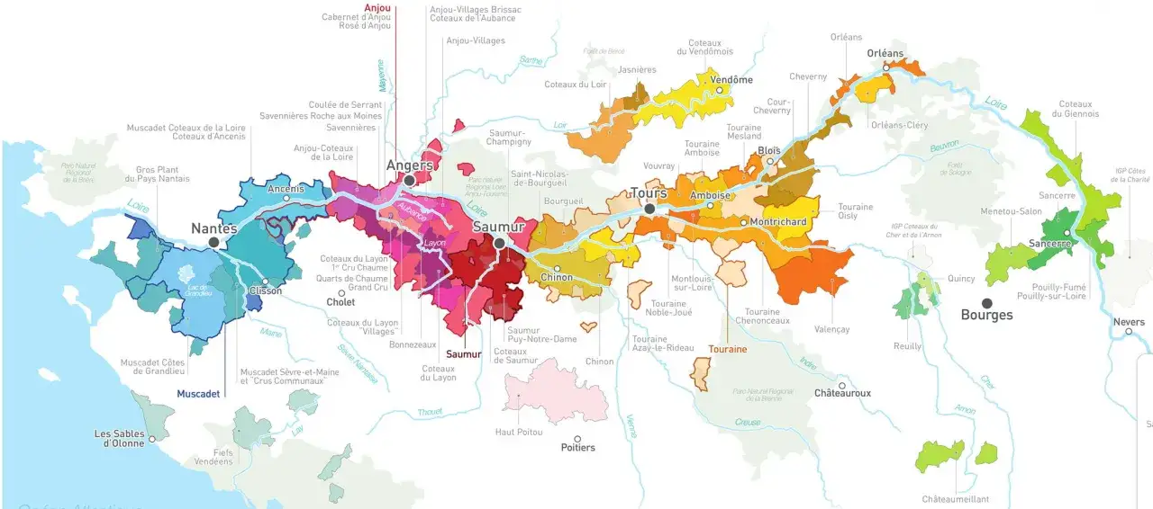 Carte des vins de Loire, avec des zones color&eacute;es pour les appellations. Le vin Sauvignon est pr&eacute;sent dans plusieurs r&eacute;gions, notamment &agrave; Sancerre et Pouilly-Fum&eacute;.
