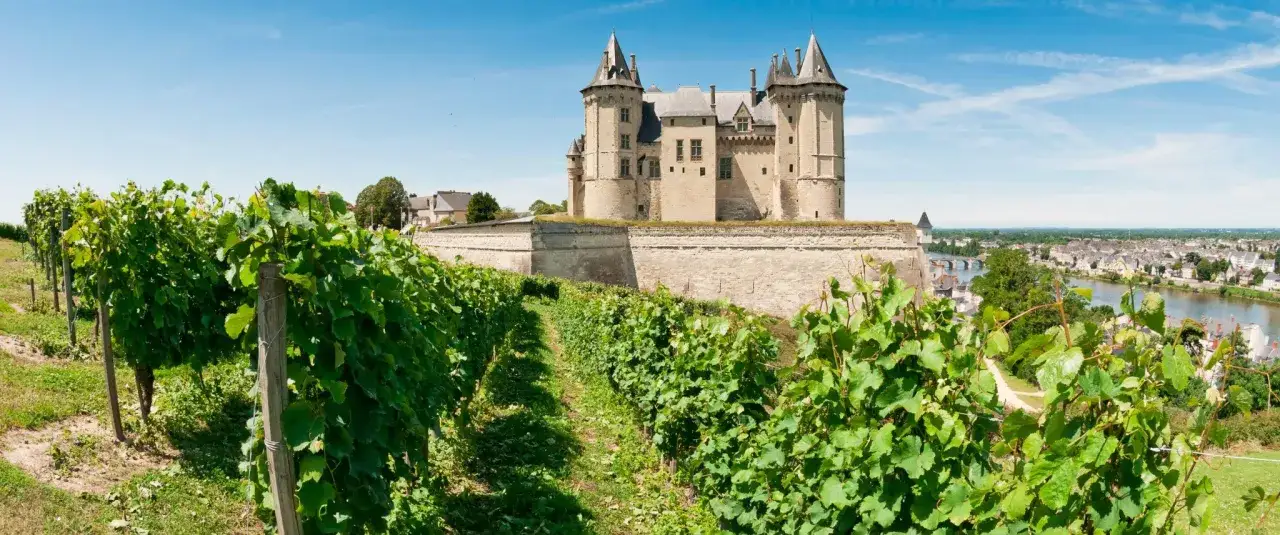 Vue panoramique d'un vignoble verdoyant menant &agrave; un majestueux ch&acirc;teau en France, surplombant une ville et une rivi&egrave;re.