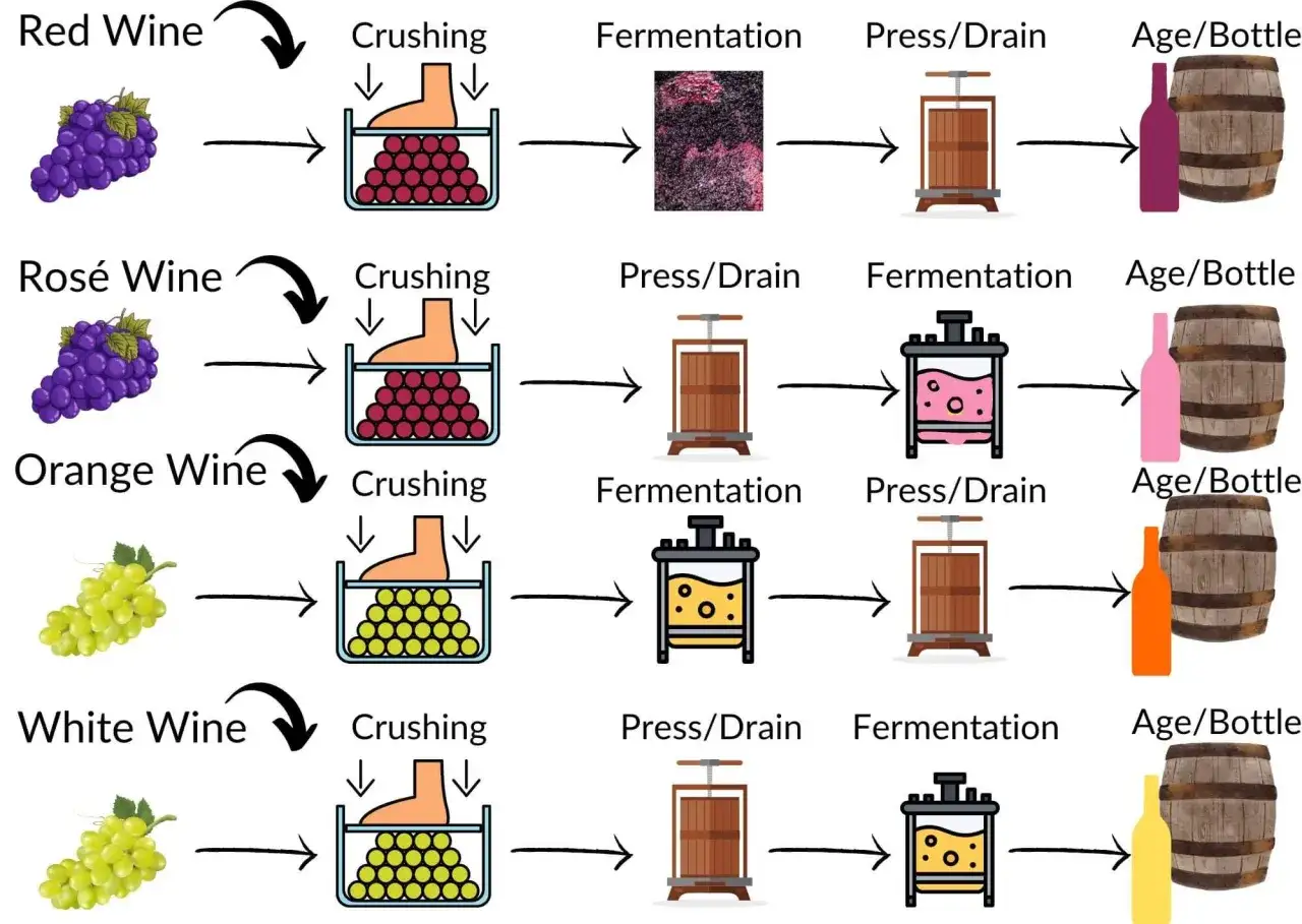 Sch&eacute;ma des &eacute;tapes de fabrication du vin rouge, blanc et ros&eacute; : foulage, fermentation, pressurage, vieillissement.