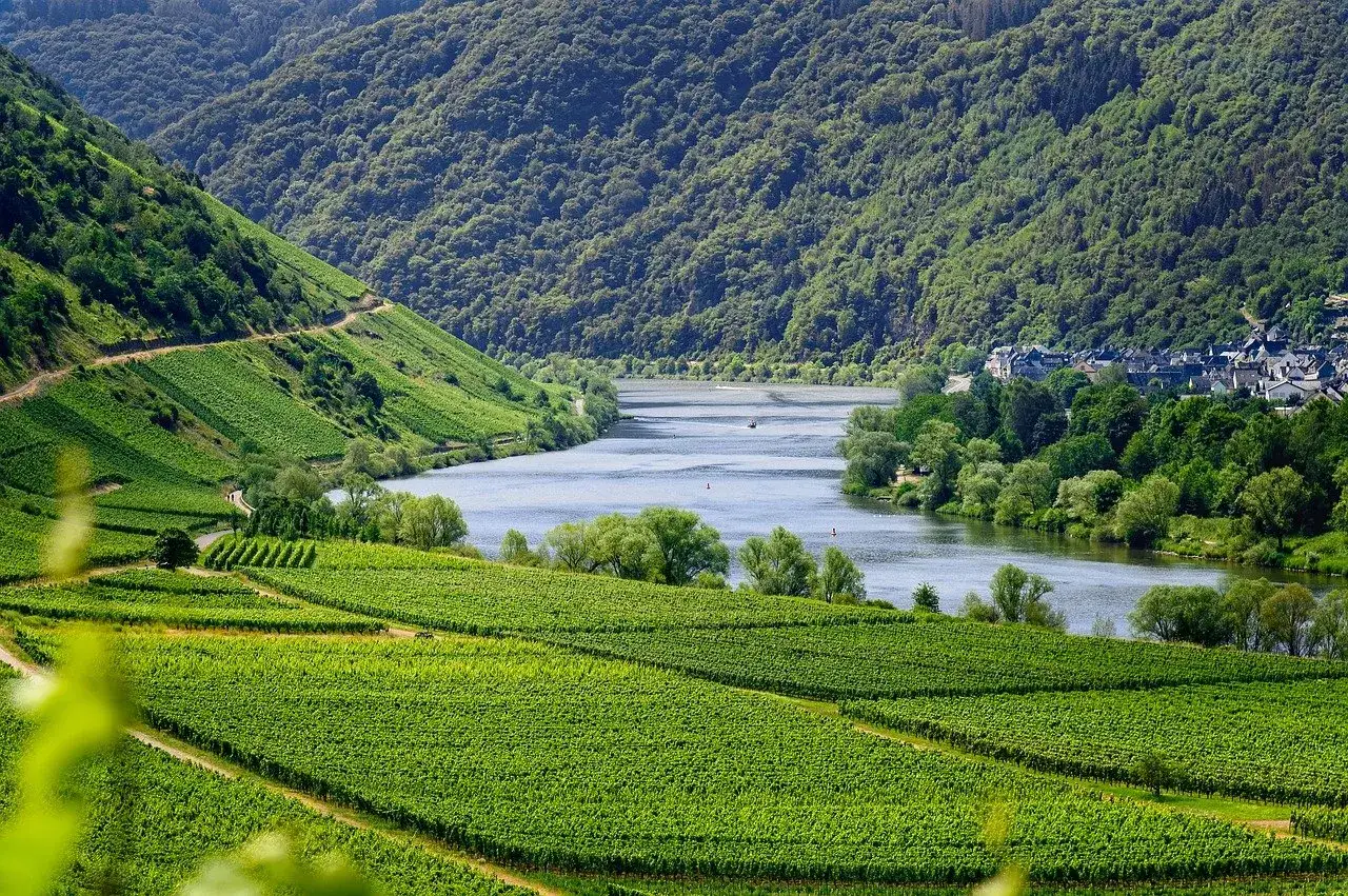 Vignoble verdoyant en terrasses longeant une rivi&egrave;re sinueuse, avec un village pittoresque en arri&egrave;re-plan. Id&eacute;al pour un vin viognier.