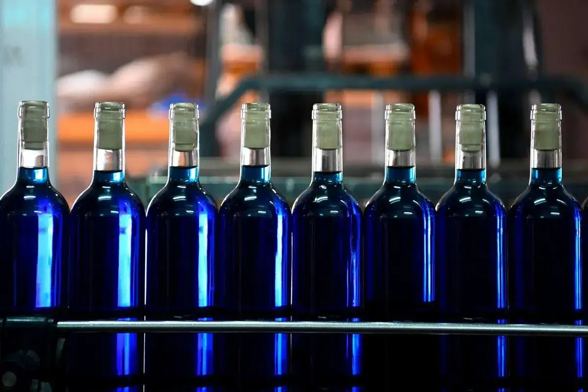 Une rang&eacute;e de bouteilles de vin bleu, pr&ecirc;tes &agrave; &ecirc;tre embouteill&eacute;es.