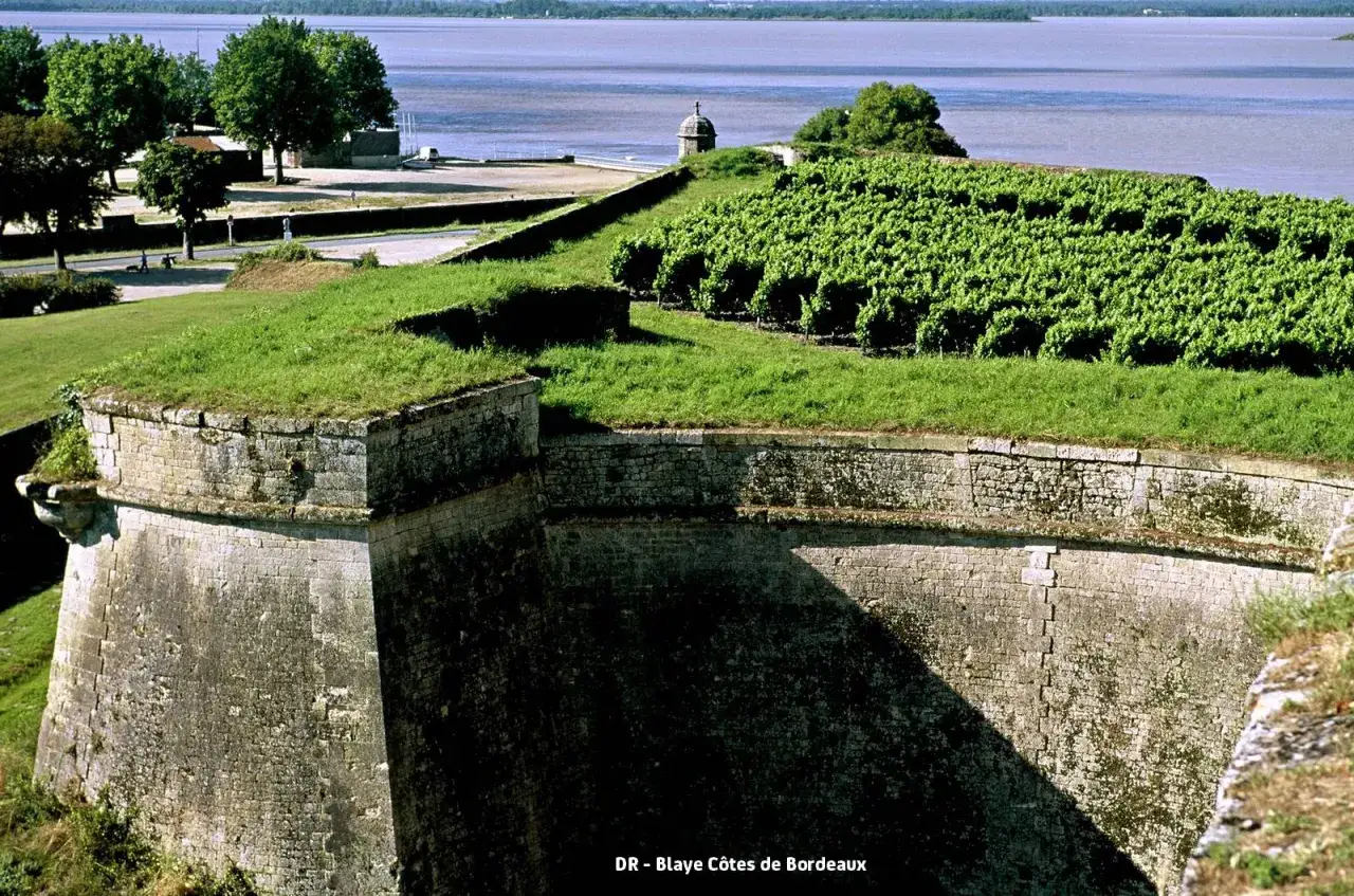 Vue panoramique sur la c&ocirc;te de Blaye, avec ses vignobles luxuriants surplombant des remparts de pierre anciens et une rivi&egrave;re paisible.