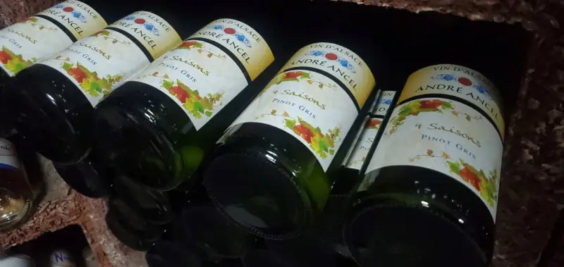 Bouteilles de vin d'Alsace "4 Saisons Pinot Gris" d'André Ancel, prêtes à être dégustées. Un quart de vin pour chaque saison.