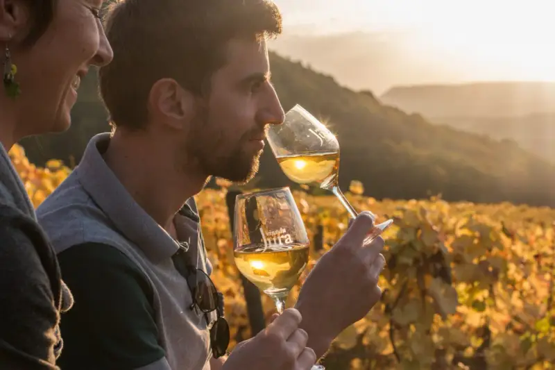 Un homme et une femme dégustent un vin jaune du Jura au coucher du soleil, dans un vignoble aux couleurs d'automne.